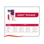 OpaquePant2_6